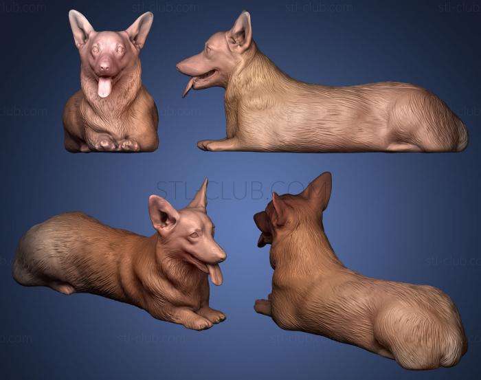 3D model Corgi dog lying 03 (STL)